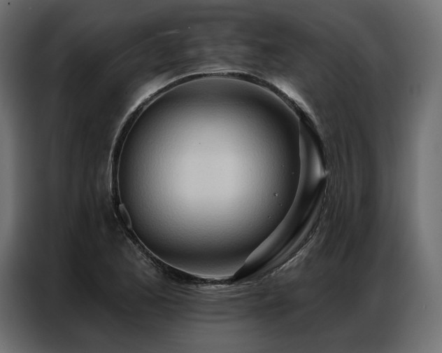 X0000086981173200704161443