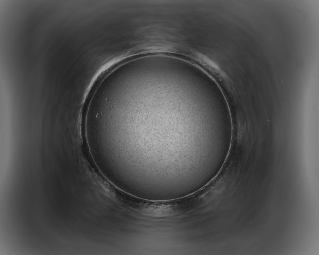 X0000086981174200704161443
