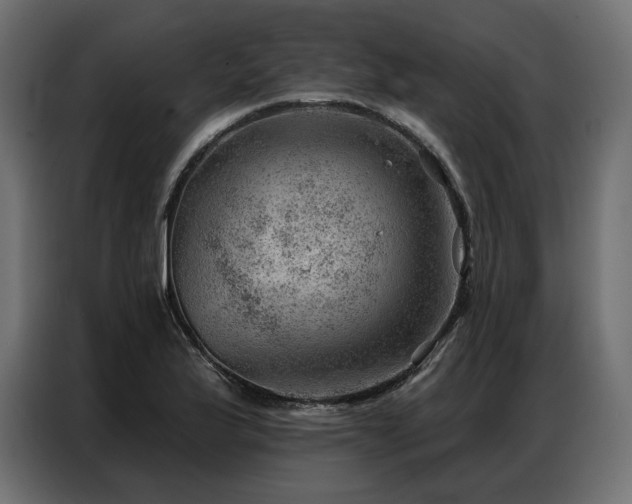 X0000086981175200704161443