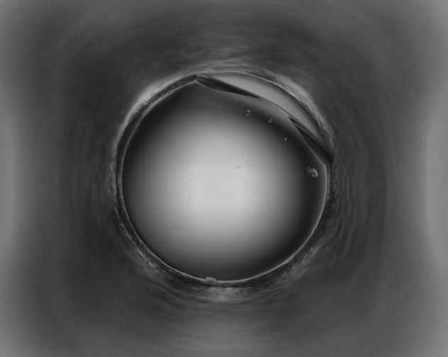 X0000086981176200704161443