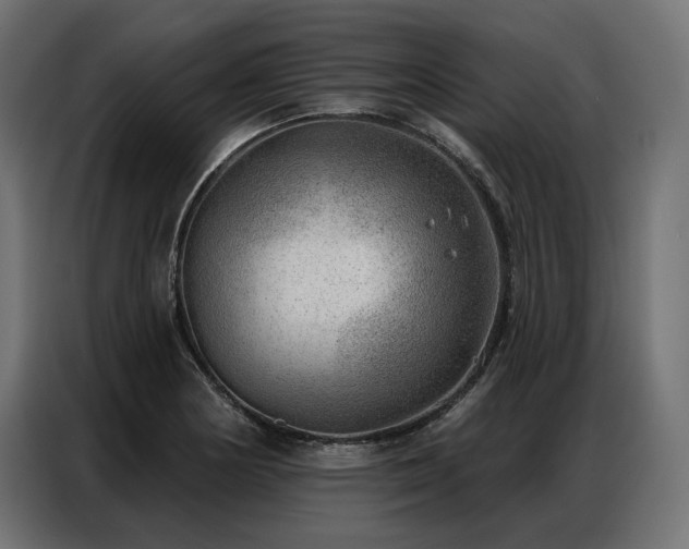 X0000086981178200704161443