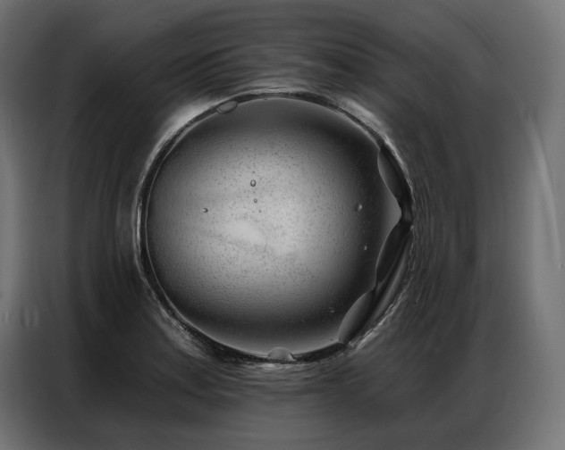 X0000086981179200704161443