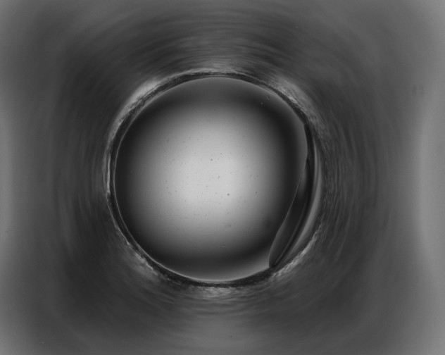 X0000086981180200704161443