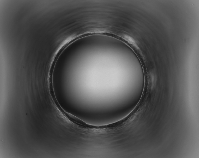 X0000086981181200704161443