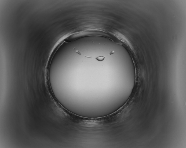 X0000086981182200704161443