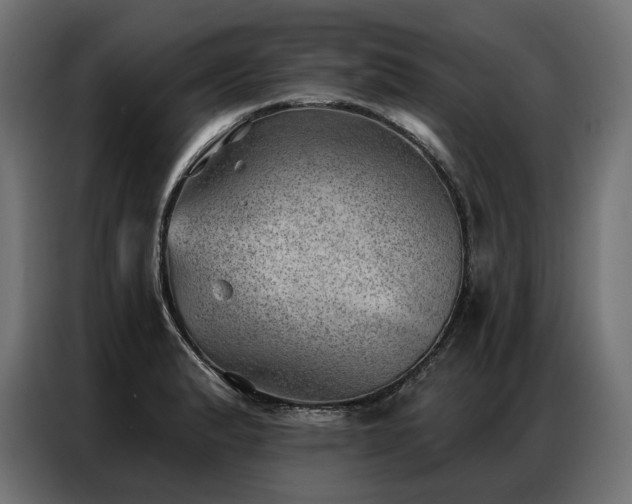 X0000086981183200704161443