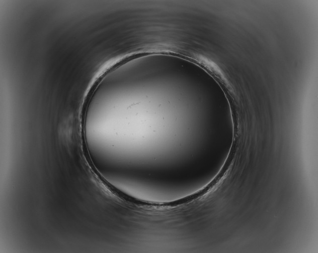 X0000086981184200704161443