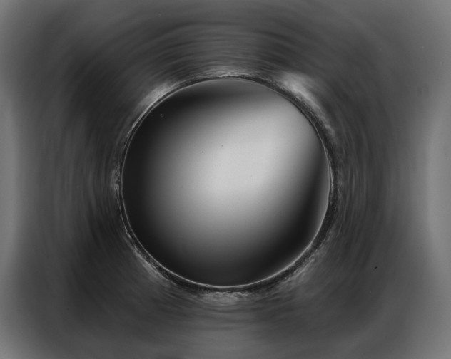 X0000086981185200704161443