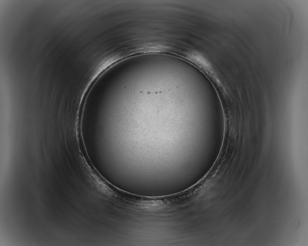 X0000086981186200704161443