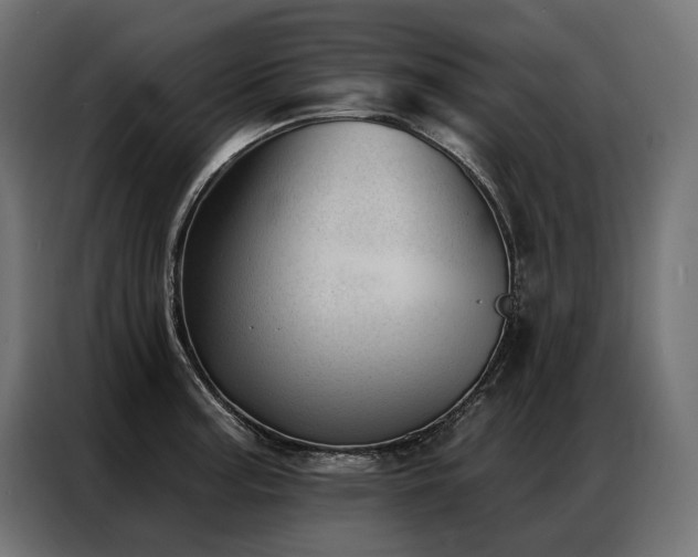 X0000086981187200704161443