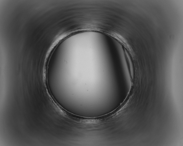 X0000086981188200704161443