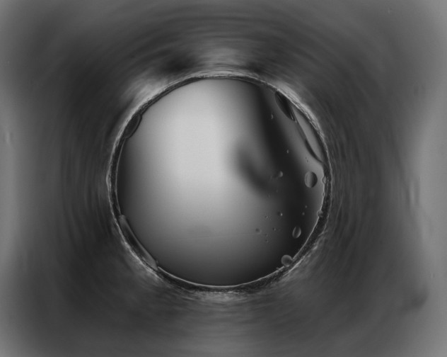 X0000086981189200704161443
