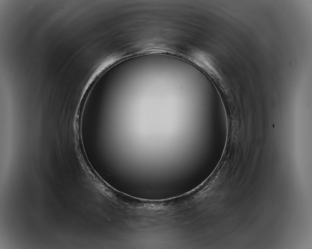 X0000086981190200704161443
