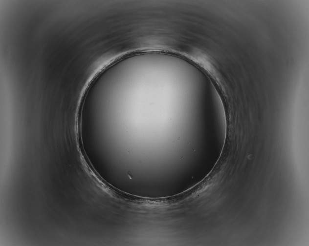 X0000086981191200704161443