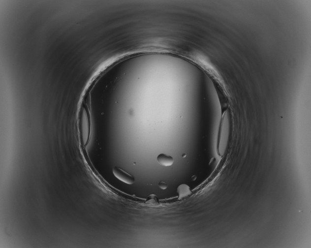 X0000086981192200704161443