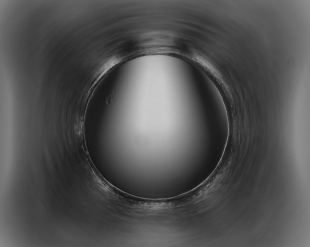 X0000086981193200704161443