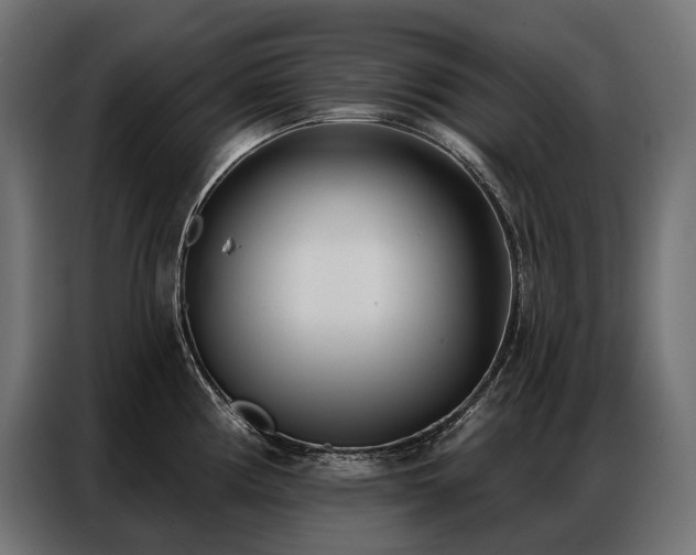 X0000086981194200704161443