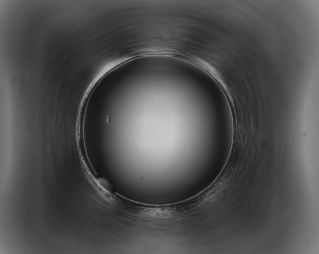 X0000086981195200704161443