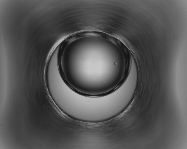 X0000086981196200704161443