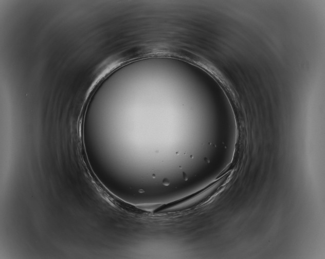 X0000086981198200704161442