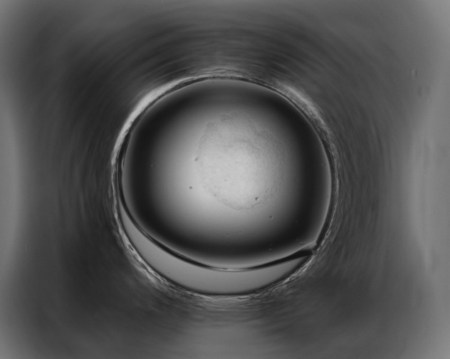 X0000086981200200704161442