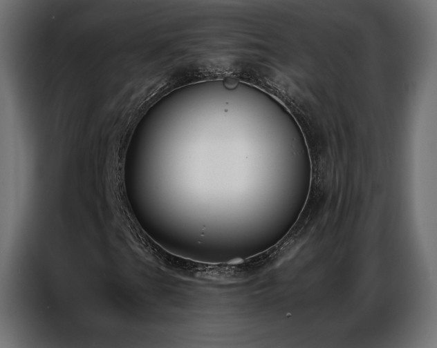 X0000086981201200704161442