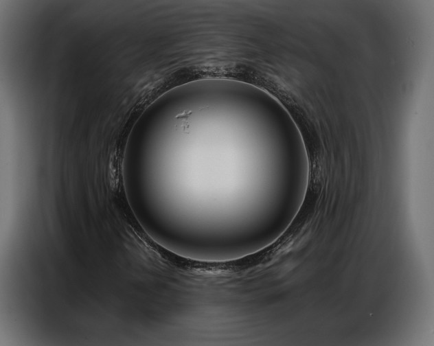 X0000086981202200704161442