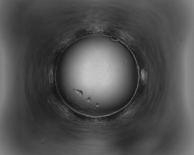 X0000086981203200704161442