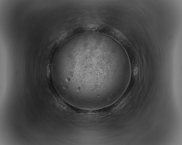 X0000086981204200704161442