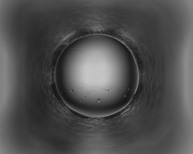 X0000086981205200704161442