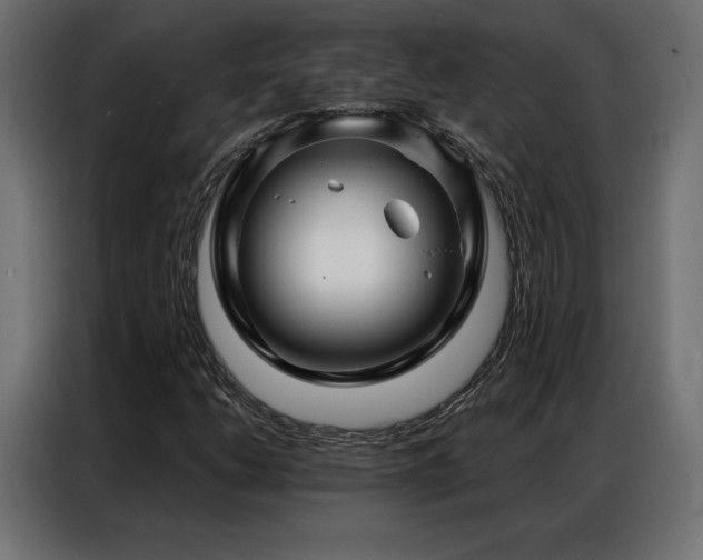 X0000086981206200704161442