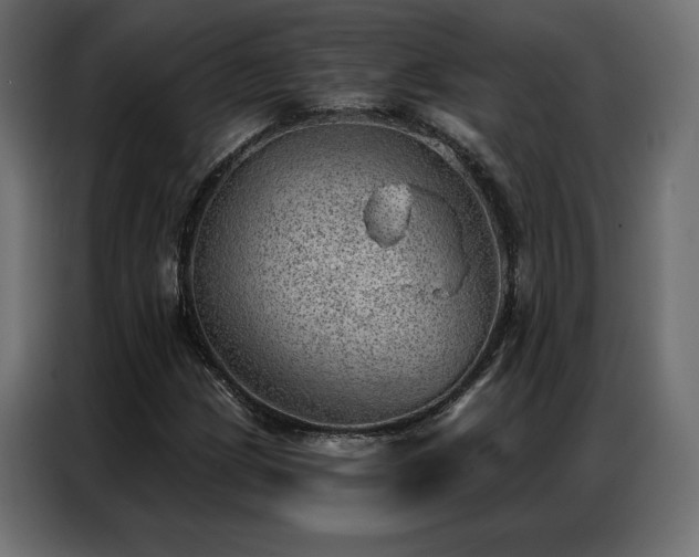 X0000086981209200704161442
