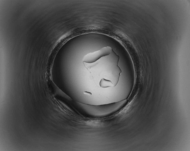 X0000086981210200704161442