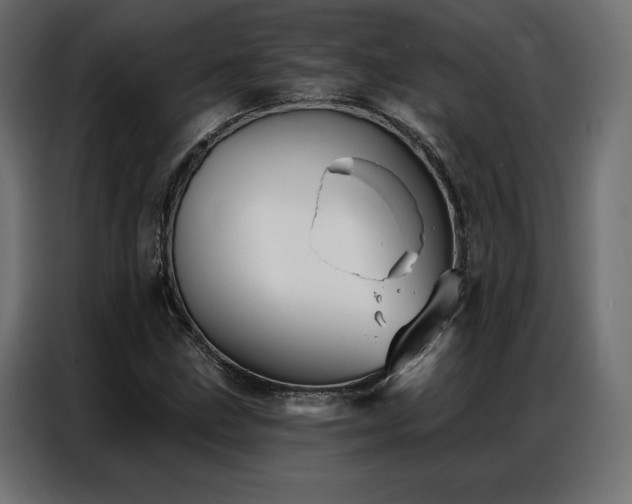 X0000086981211200704161442