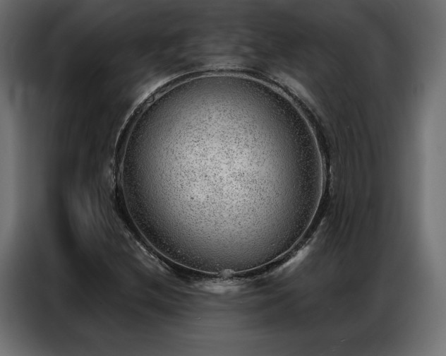 X0000086981212200704161442