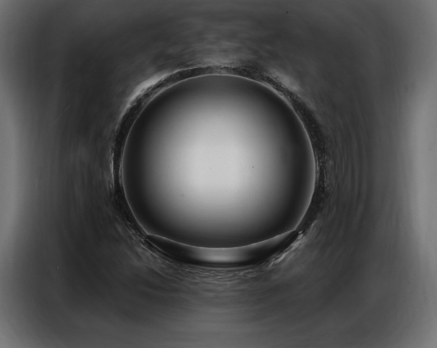 X0000086981214200704161442