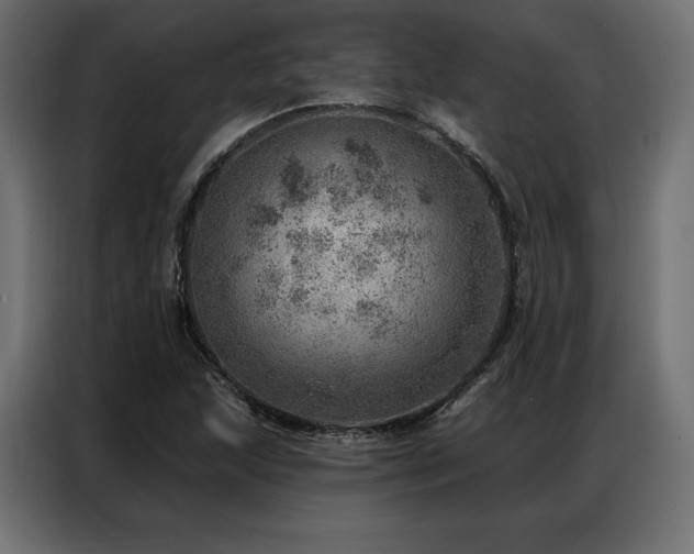 X0000086981215200704161442