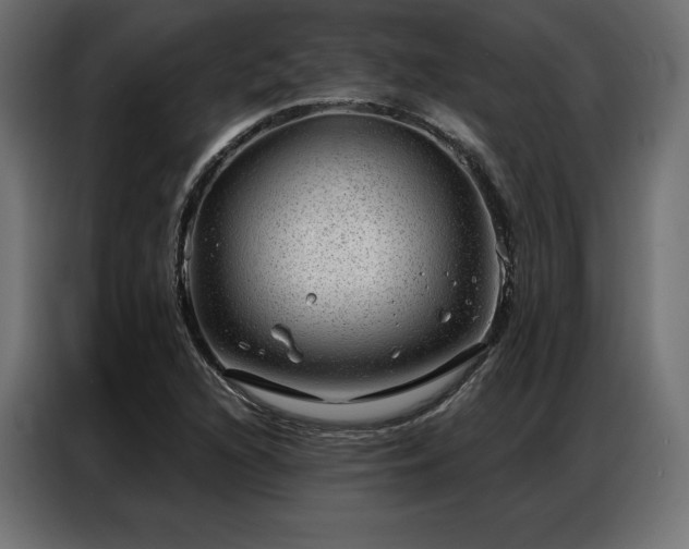 X0000086981216200704161442