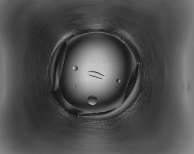 X0000086981218200704161442