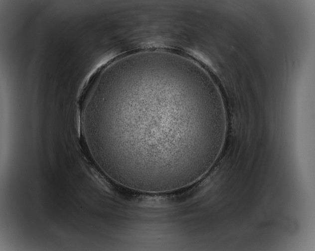 X0000086981219200704161442