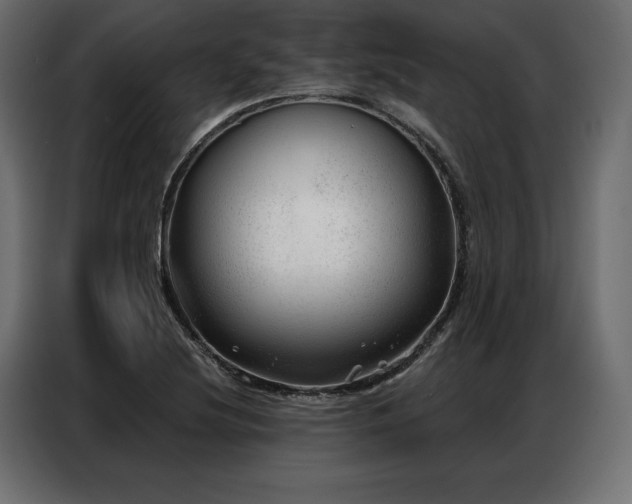 X0000086981220200704161442