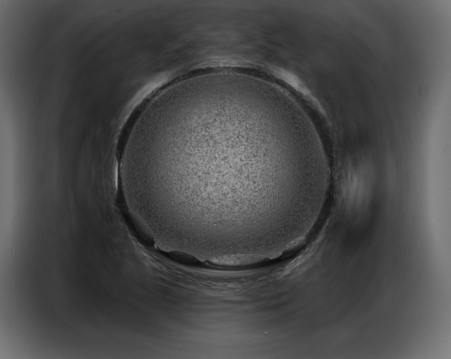 X0000086981221200704161442