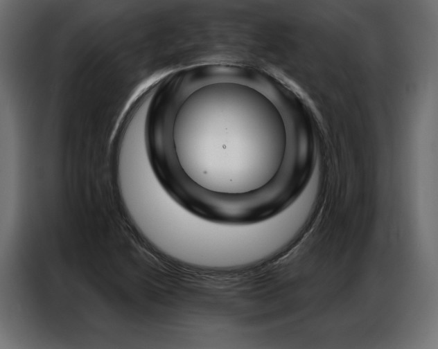 X0000086981222200704161442