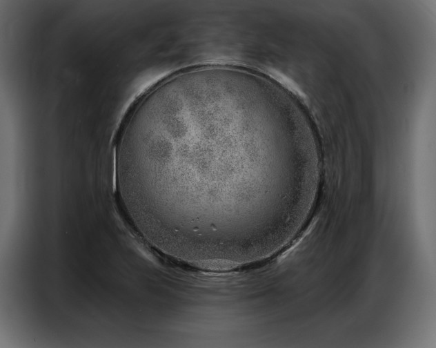 X0000086981223200704161442