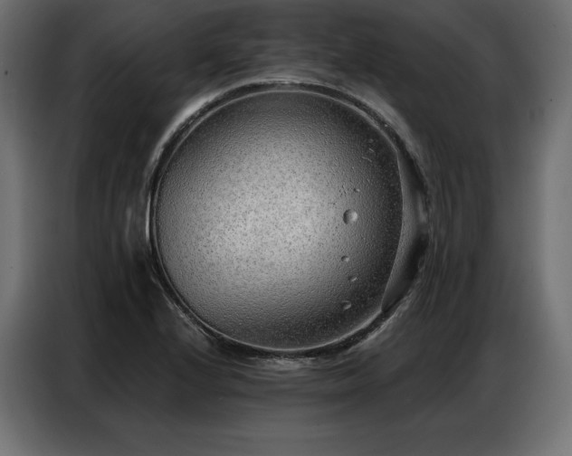 X0000086981224200704161442