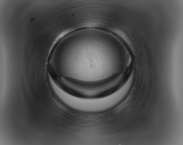 X0000086981226200704161442