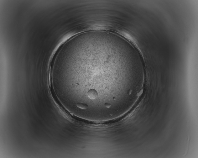 X0000086981227200704161442