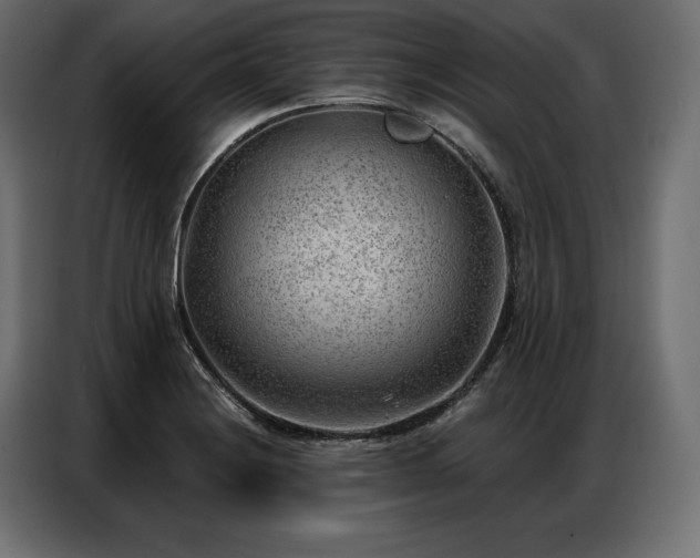 X0000086981228200704161442