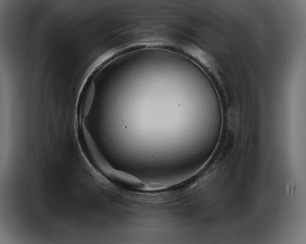 X0000086981229200704161442