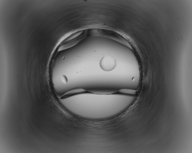 X0000086981230200704161442